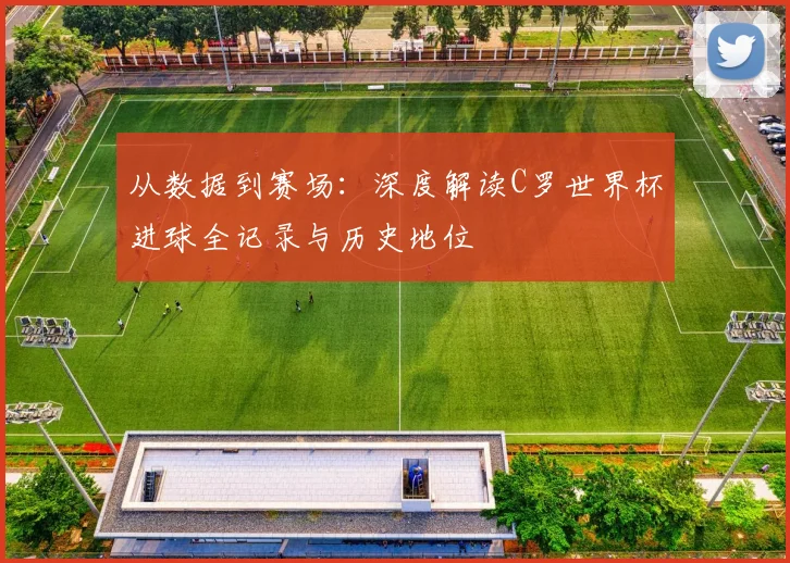 从数据到赛场：深度解读C罗世界杯进球全记录与历史地位