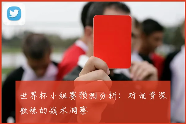 世界杯小组赛预测分析：对话资深教练的战术洞察