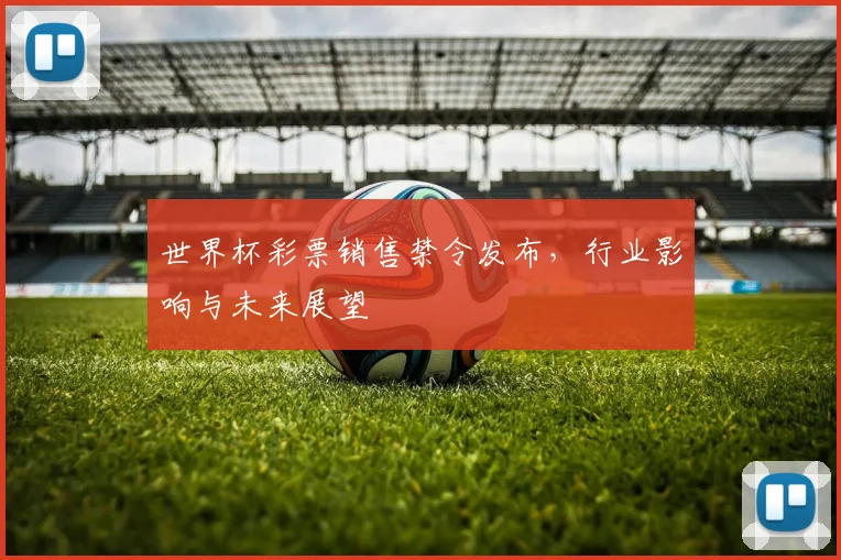 世界杯彩票销售禁令发布,行业影响与未来展望