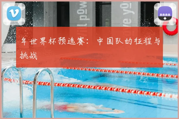 年世界杯预选赛：中国队的征程与挑战