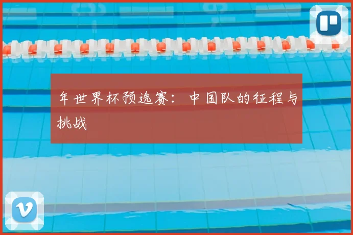 年世界杯预选赛：中国队的征程与挑战