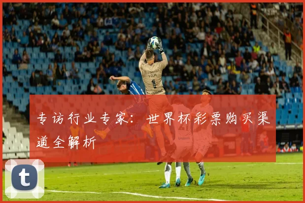 专访行业专家:世界杯彩票购买渠道全解析